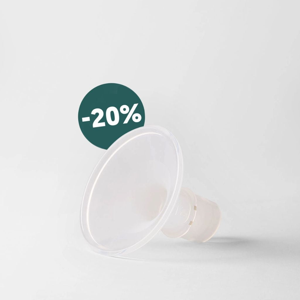 Perifit Pump | Flange